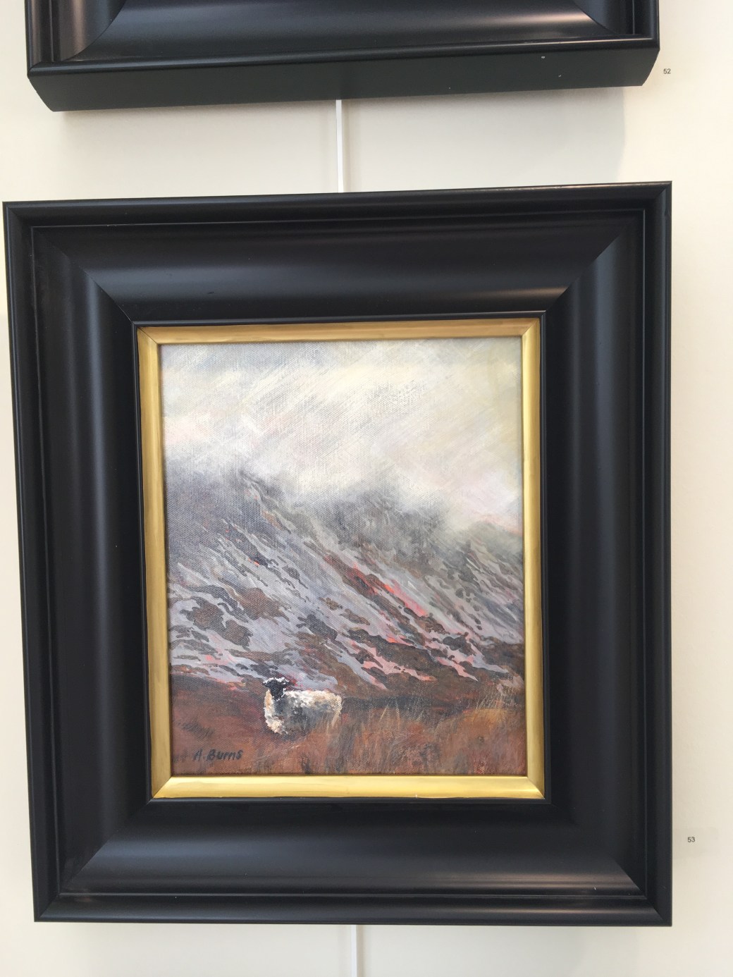 Sheep at Muckish Gap